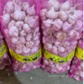 China normal white garlic alho/Ail/ajo , fresh red garlic export 2021